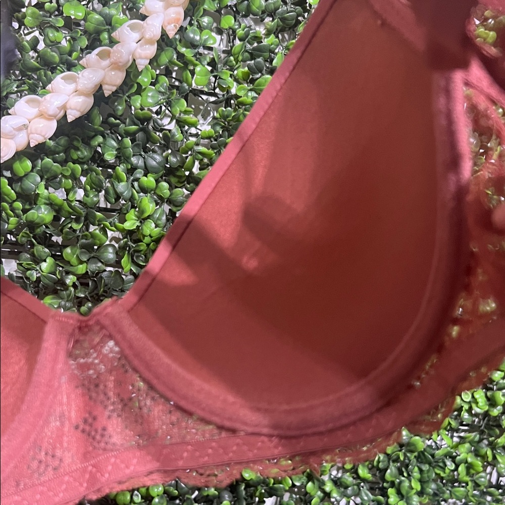 Tahari RT:$72 Elegant Lace Trimmed Push Up Padded Bra in Dusty Rose size 34B - Picture 6 of 6